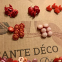 Set of small haberdashery buttons | Baby buttons | Child buttons