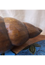 Vintage wooden seashell | Carved wooden conch shell