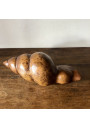 Vintage wooden seashell | Carved wooden conch shell