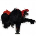 Set of 14 antique ostrich feathers