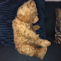 Old Steiff teddy bear in blond mohair