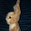 Rabbit Steiff 50s/60s |Baby Rabbit Sassy | Steiff