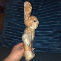 Rabbit Steiff 50s/60s |Baby Rabbit Sassy | Steiff