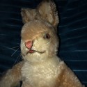 Rabbit Steiff 50s/60s |Baby Rabbit Sassy | Steiff