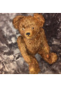 Old teddy bear cat - Glass eyes
