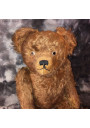 Old teddy bear cat - Glass eyes