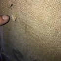 Anciens sacs en toile de jute | SOPECOBA 
- Lettrage délavé