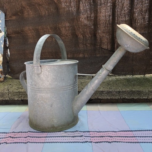 Old galvanized zinc watering can | Garden zinc watering can