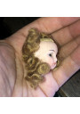 Old closed mouth bisque mignonette head