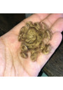 Old closed mouth bisque mignonette head