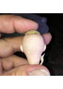 Old closed mouth bisque mignonette head
