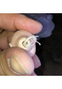 Old closed mouth bisque mignonette head