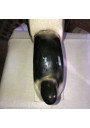 Chien serre livre signé GÉO CONDÉ SAINT CLÉMENT