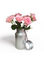 SFMO aluminum milk jug | Old vintage milk jug
