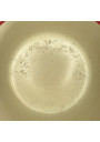 Old small enamelled sheet metal soup tureen with floral decoration