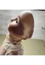 Antique Doll – Porcelain Head (approx. 32 cm) – Fleischmann ? 🎎✨