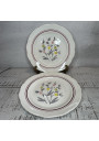 Set of 2 old Gien France plates - Cap-Ferrat model