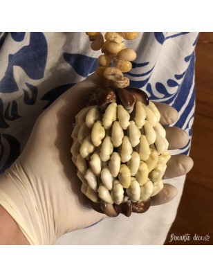 Collier vintage Tahitien en coquillages| Gros pendentif | Artisanal