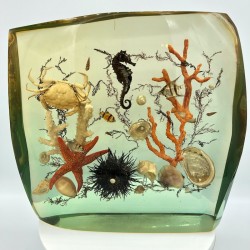 Old vintage resin including fish, seahorse, crab, sea urchin and corals