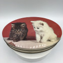 Old lithographed tin box | Decor Kittens | Louis Clauss confectionery Paris