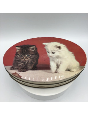 Ancienne boîte en tôle lithographiée | Décor Chatons | Confiserie Louis Clauss Paris